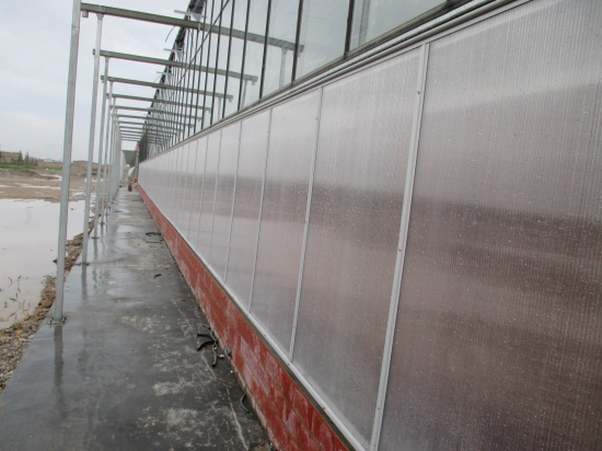 玻璃連棟智能溫室 玻璃連棟智能溫室