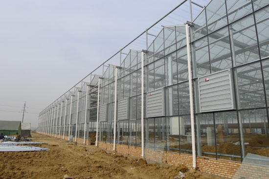 玻璃智能溫室 玻璃智能溫室