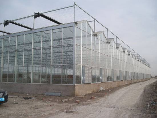 玻璃智能溫室