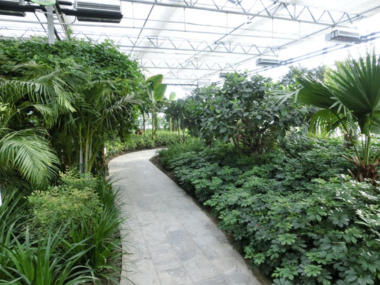 玻璃智能溫室 玻璃智能溫室