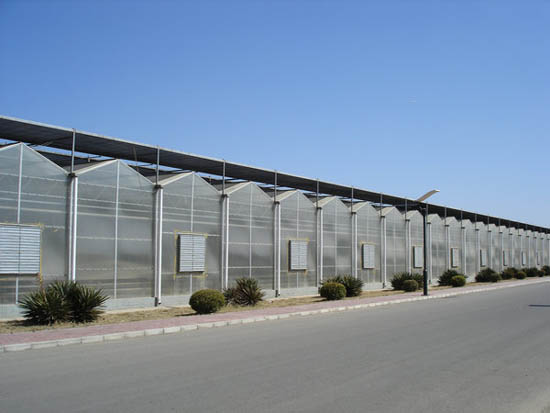 陽光板智能溫室 陽光板智能溫室