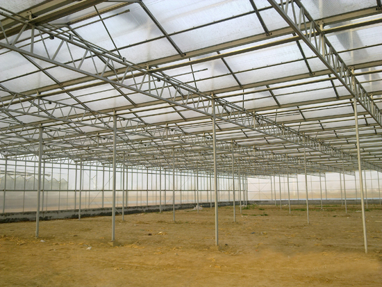 陽光板智能溫室 陽光板智能溫室