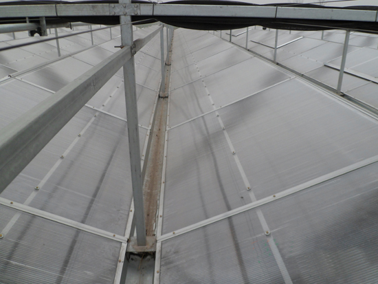 陽光板智能溫室