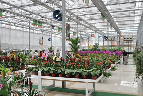 陽光板智能溫室