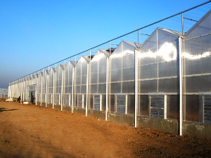 陽(yáng)光板智能溫室