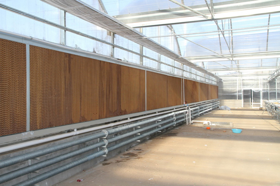 陽光板智能溫室 陽光板智能溫室