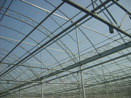 雙膜連棟智能溫室 雙膜連棟智能溫室