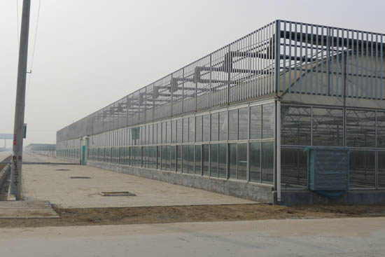 雙膜連棟智能溫室 雙膜連棟智能溫室