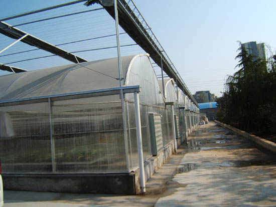 雙膜連棟智能溫室 雙膜連棟智能溫室