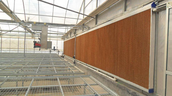 雙膜連棟智能溫室 雙膜連棟智能溫室