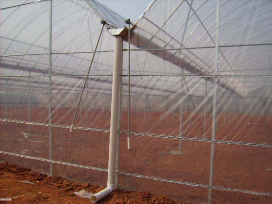 簡易連棟溫室 簡易連棟溫室