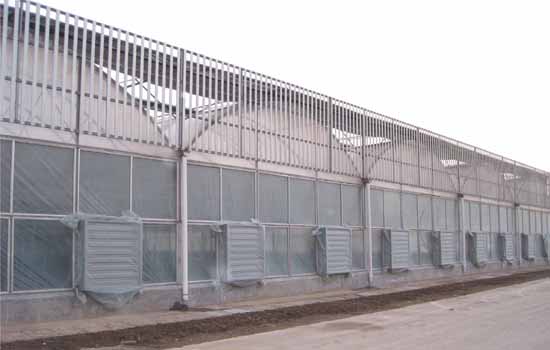 充氣膜連棟溫室 充氣膜連棟溫室