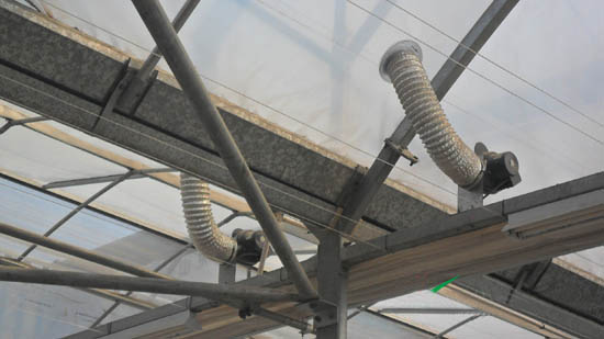 充氣膜連棟溫室 充氣膜連棟溫室