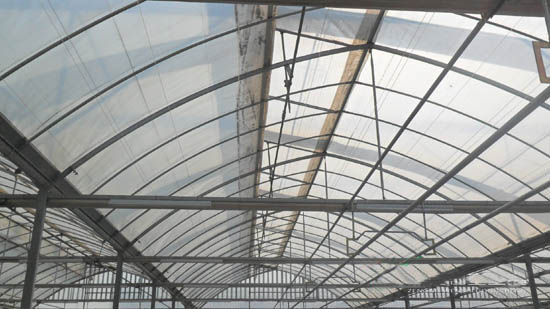 充氣膜連棟溫室 充氣膜連棟溫室