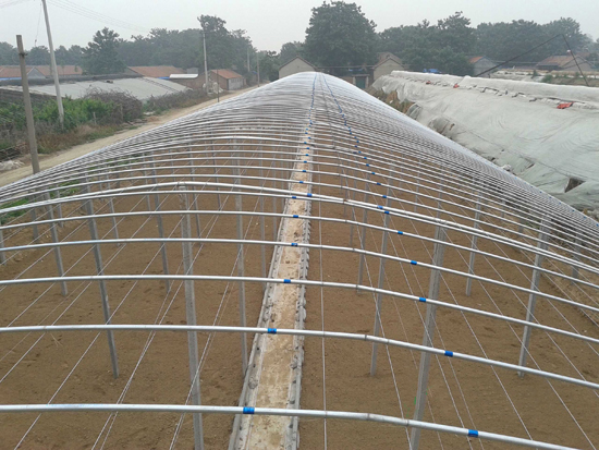 大跨度立柱式拱棚溫室 大跨度立柱式拱棚溫室