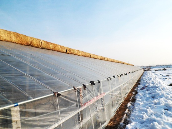 冬暖式拱型溫室 冬暖式拱型溫室