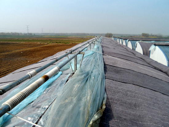 冬暖式拱型溫室 冬暖式拱型溫室