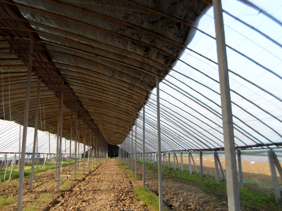 冬暖式拱型溫室 冬暖式拱型溫室