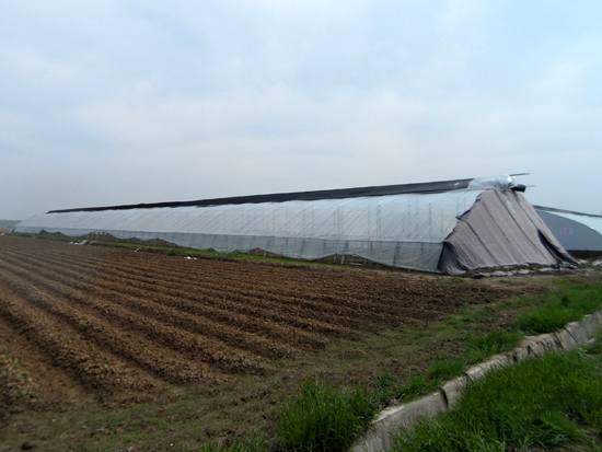 冬暖式拱型溫室 冬暖式拱型溫室