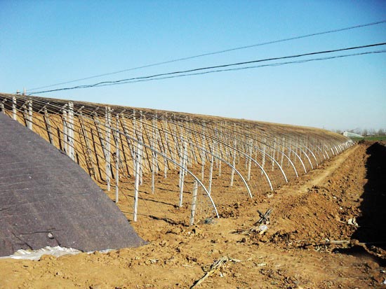 弧形式土墻體日光溫室 弧形式土墻體日光溫室