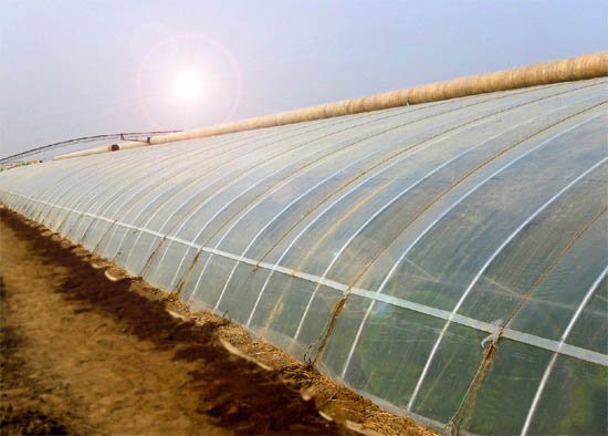 弧形式土墻體日光溫室 弧形式土墻體日光溫室