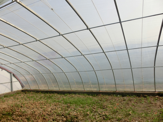 新型日光溫室 新型日光溫室