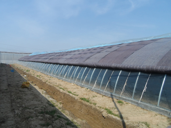 新型日光溫室 新型日光溫室