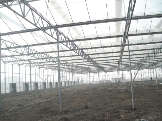 山東淄博古齊生態(tài)園（陽(yáng)光板智能連棟溫室）