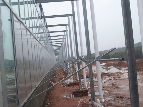 山東淄博古齊生態(tài)園（陽(yáng)光板智能連棟溫室）