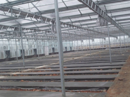 山東淄博古齊生態(tài)園（陽(yáng)光板智能連棟溫室）