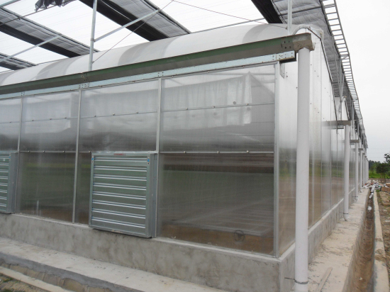 河南信陽光山縣現(xiàn)代農(nóng)業(yè)園（陽光板智能連棟溫室）