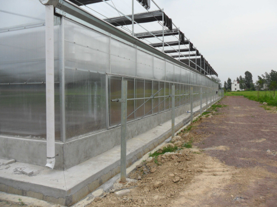 河南信陽光山縣現(xiàn)代農(nóng)業(yè)園（陽光板智能連棟溫室）