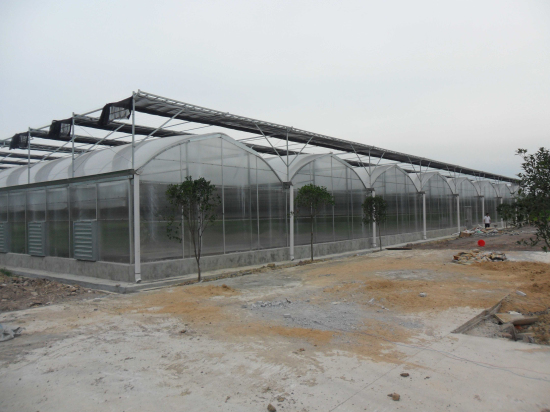 河南信陽光山縣現(xiàn)代農(nóng)業(yè)園（陽光板智能連棟溫室）