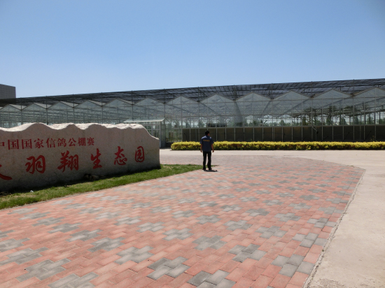 天津天羽翔生態(tài)園（陽(yáng)光板智能連棟溫室）