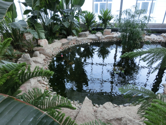 天津天羽翔生態(tài)園（陽(yáng)光板智能連棟溫室）