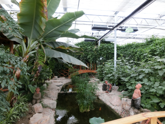 天津天羽翔生態(tài)園（陽(yáng)光板智能連棟溫室）