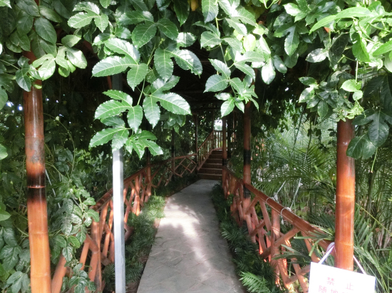 天津天羽翔生態(tài)園（陽(yáng)光板智能連棟溫室）