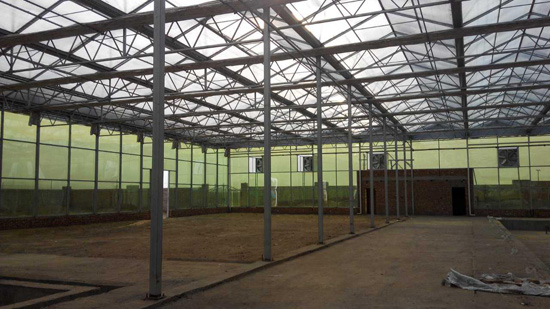 山西忻州繁峙縣佳春農(nóng)業(yè)種植專業(yè)合作社游泳館（玻璃連棟智能溫室）