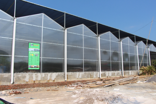 湖南郴州嘉禾秀才生態(tài)園（陽光板連棟智能溫室）