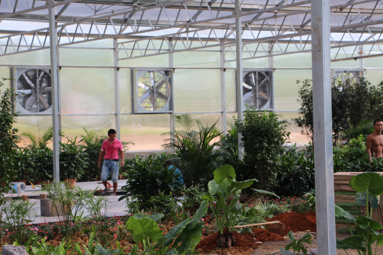 湖南郴州嘉禾秀才生態(tài)園（陽光板連棟智能溫室）