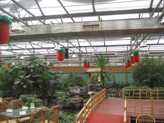 湖南郴州嘉禾秀才生態(tài)園（陽光板連棟智能溫室）