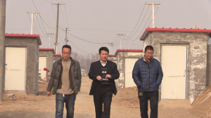 河北衡水阜城縣恒濱農(nóng)業(yè)園