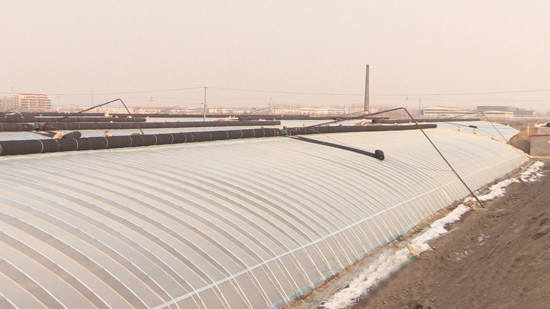 土墻體冬暖日光溫室 土墻體冬暖日光溫室