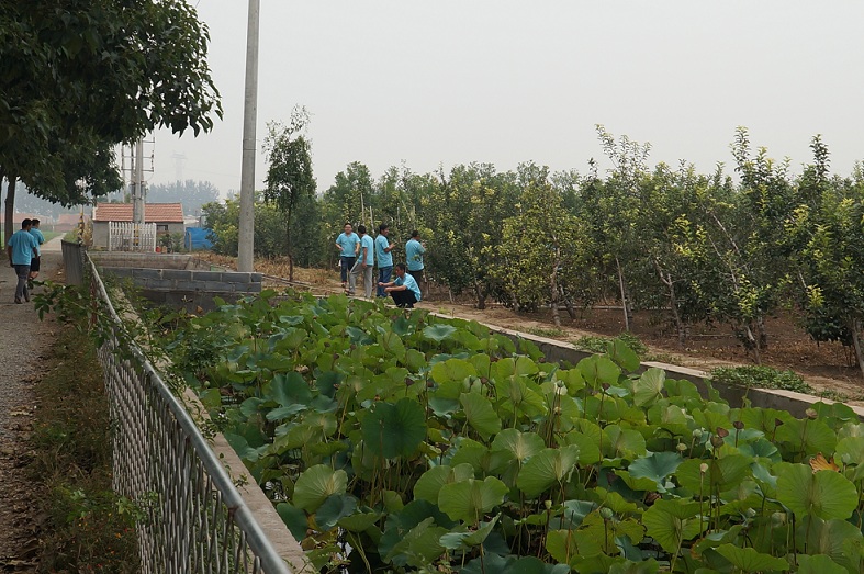 學(xué)員們參觀果樹一邊倒