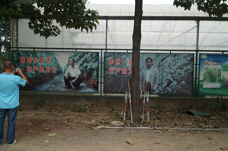 學(xué)員們參觀果樹一邊倒