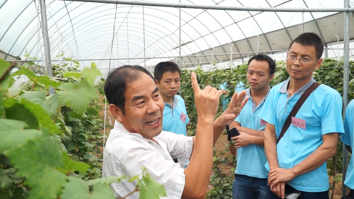 學(xué)員們參觀果樹一邊倒