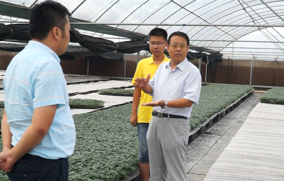 壽光市金銀島育苗基地任教授 壽光市金銀島育苗基地任教授