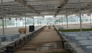 連棟溫室骨架 連棟溫室骨架