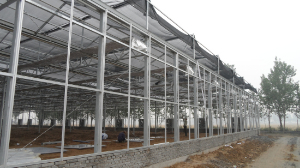 提高蔬菜大棚里溫度的小方法 提高蔬菜大棚里溫度的小方法