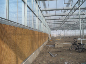 智能溫室育苗效率高 智能溫室育苗效率高